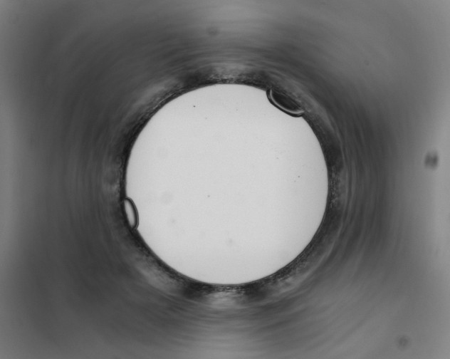 X0000101440505200808041218