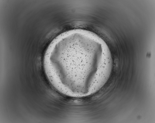 X0000101440506200808041218