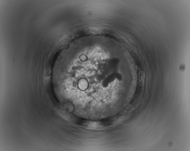 X0000101440507200808041218