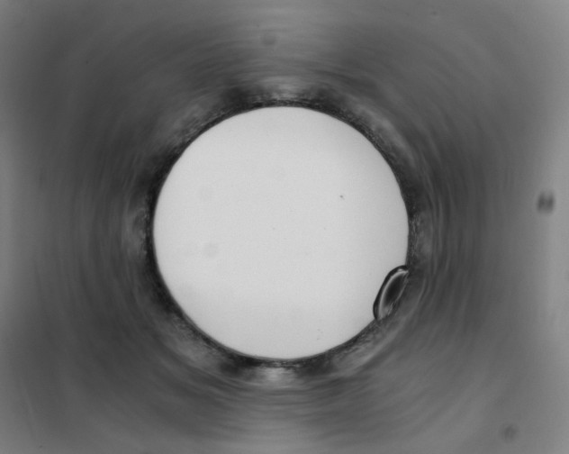 X0000101440509200808041218