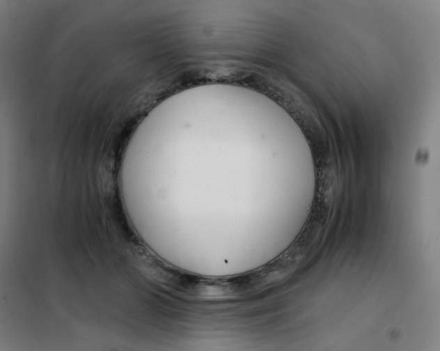 X0000101440510200808041218