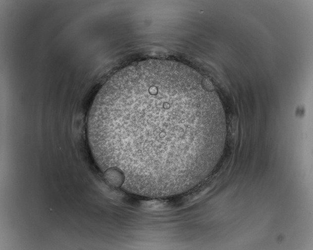 X0000101440511200808041218