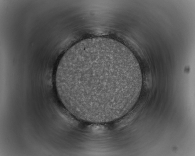 X0000101440512200808041218
