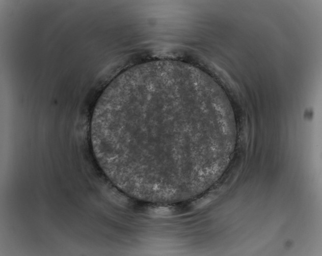 X0000101440513200808041218
