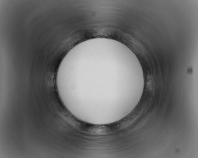 X0000101440514200808041218