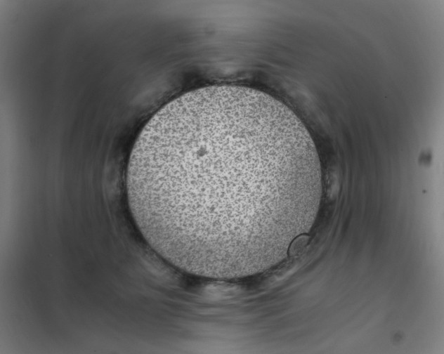X0000101440515200808041218