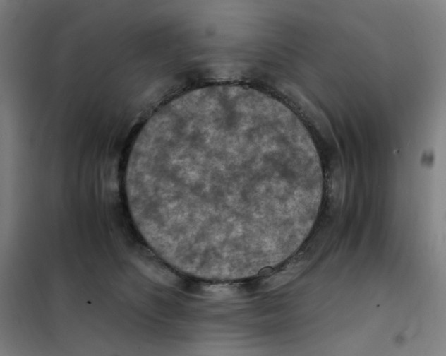 X0000101440516200808041218