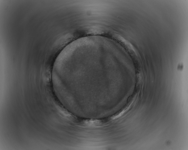 X0000101440517200808041218