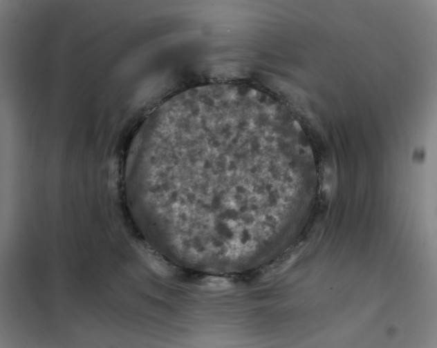 X0000101440519200808041218