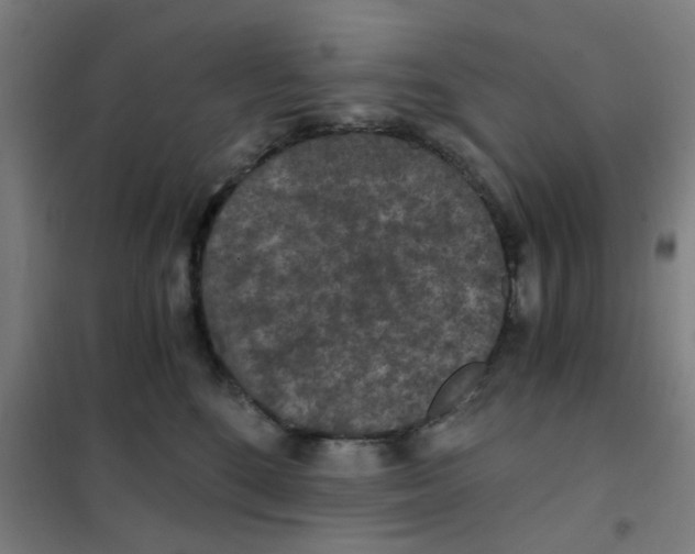 X0000101440520200808041218