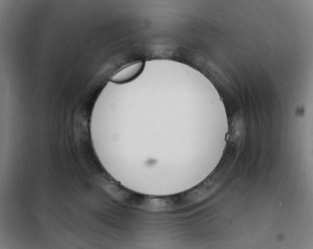 X0000101440522200808041218