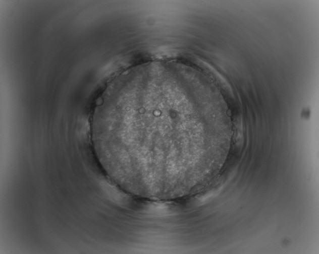 X0000101440523200808041218