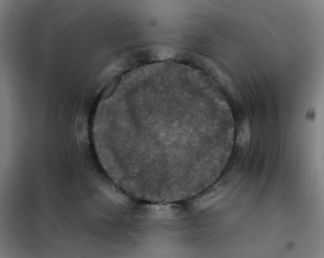 X0000101440524200808041218