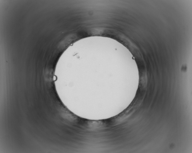 X0000101440525200808041218