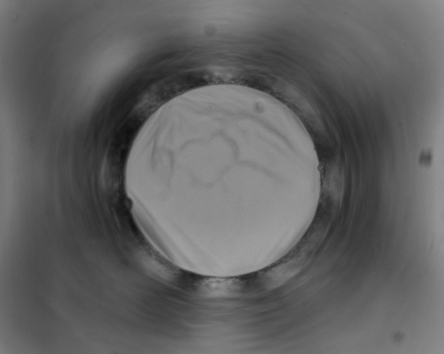 X0000101440526200808041218