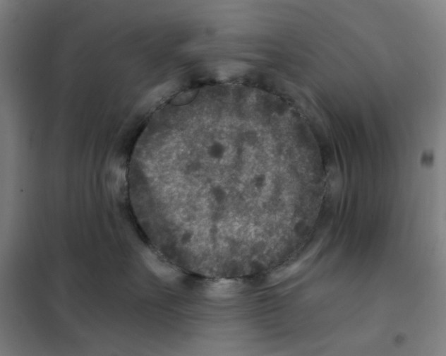 X0000101440527200808041218
