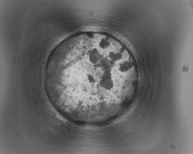 X0000101440529200808041217
