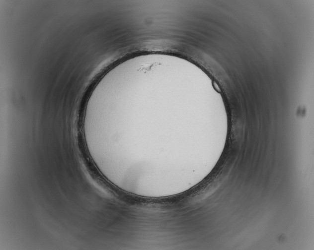 X0000101440530200808041217
