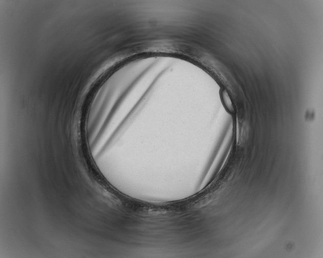 X0000101440531200808041217