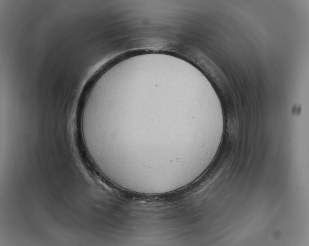 X0000101440532200808041217