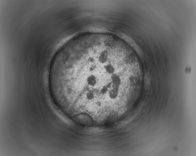 X0000101440533200808041217