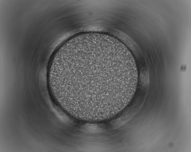 X0000101440534200808041217