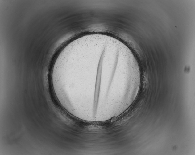X0000101440535200808041217