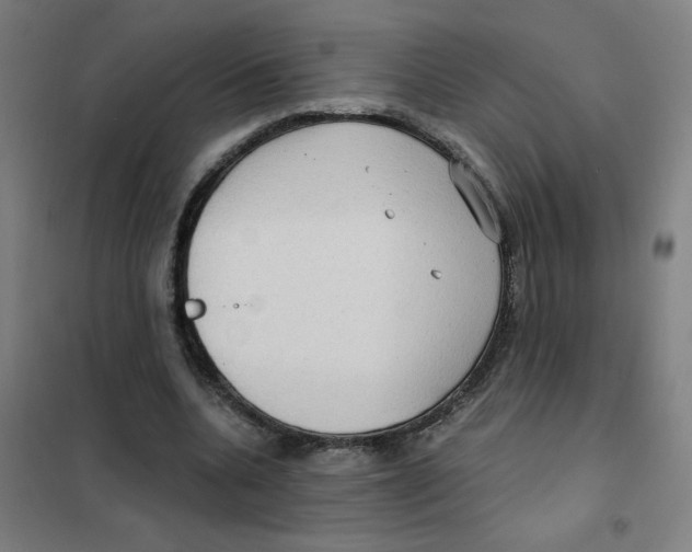 X0000101440536200808041217