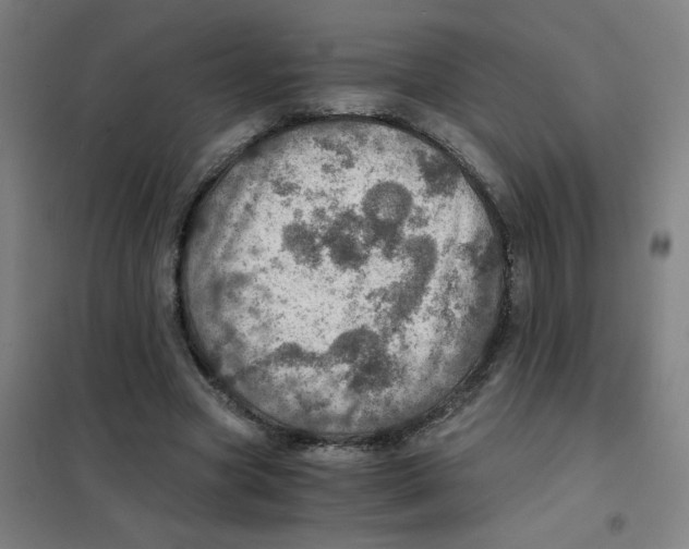 X0000101440537200808041217