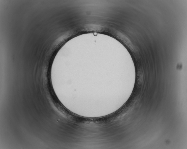 X0000101440538200808041217