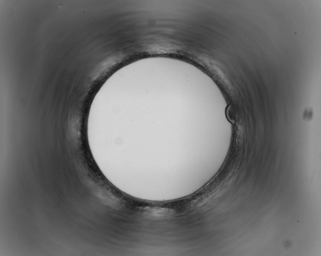 X0000101440539200808041217