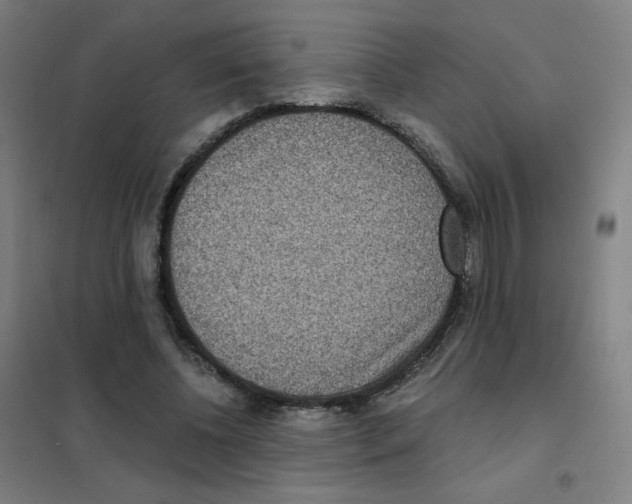 X0000101440540200808041217