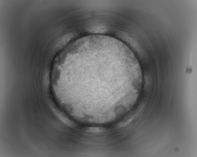 X0000101440541200808041217