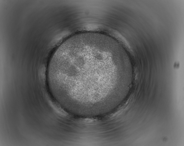 X0000101440542200808041217