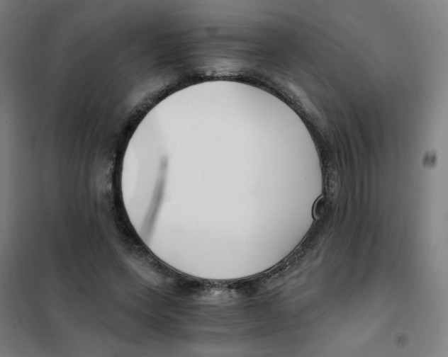X0000101440543200808041217