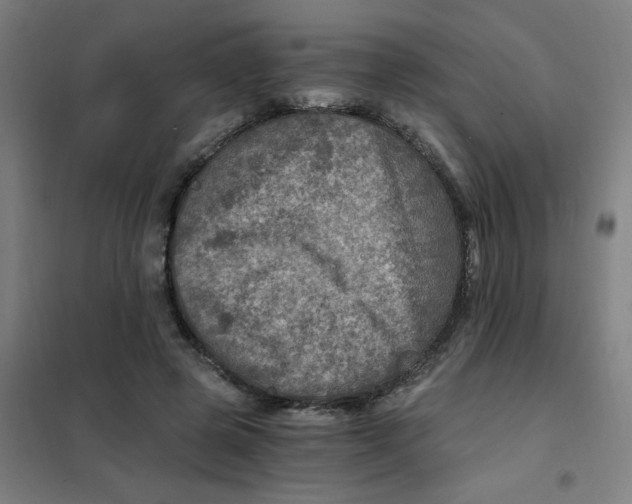 X0000101440545200808041217
