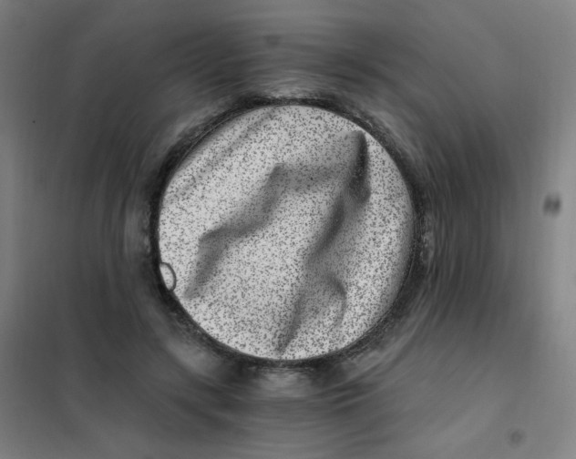 X0000101440547200808041217