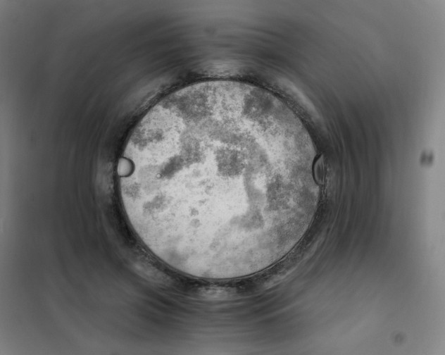 X0000101440549200808041217