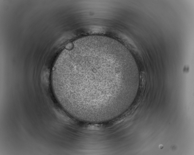 X0000101440550200808041217