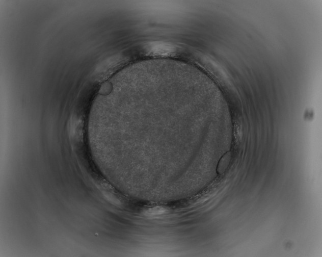 X0000101440551200808041217