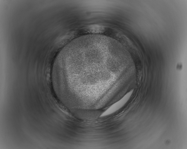 X0000101440553200808041217