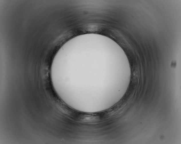 X0000101440555200808041217