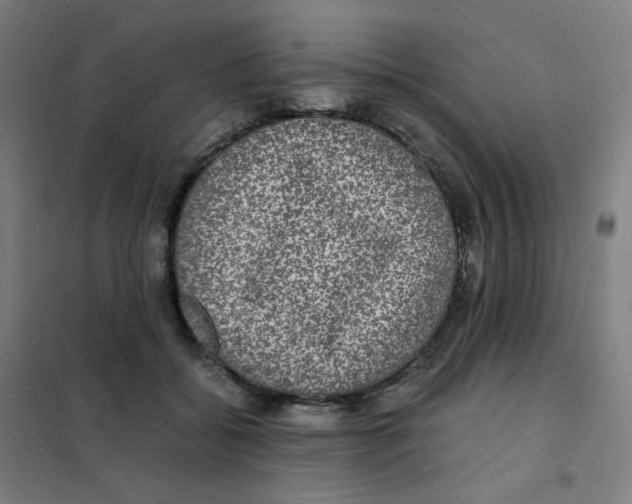 X0000101440556200808041217