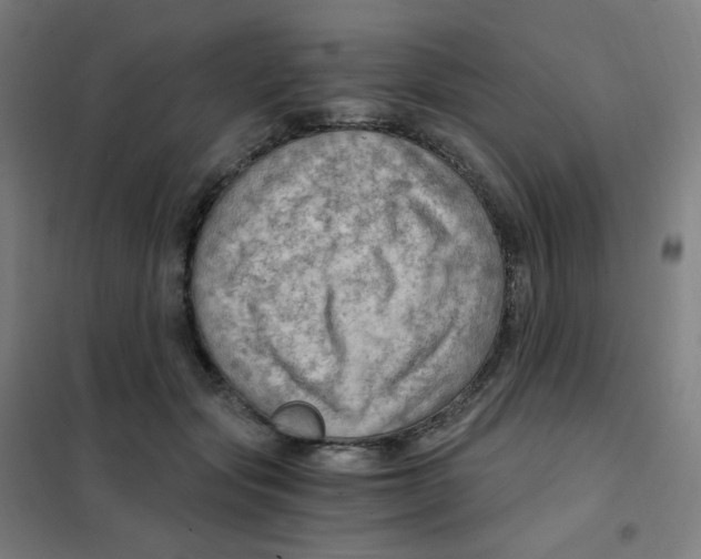 X0000101440557200808041217