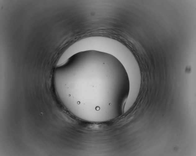 X0000101440558200808041217