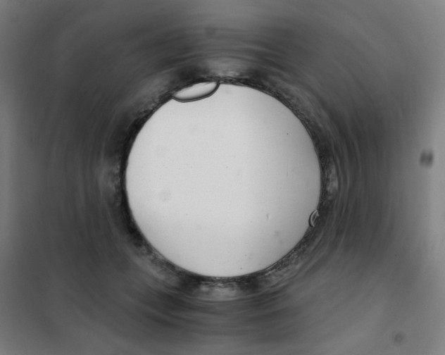 X0000101440559200808041217