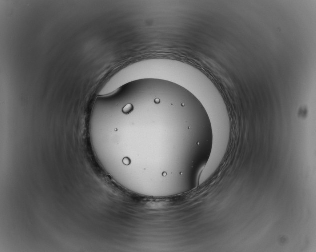 X0000101440560200808041217