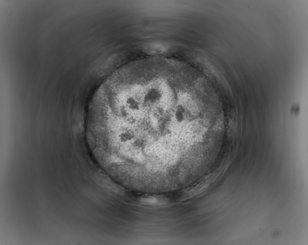 X0000101440561200808041217