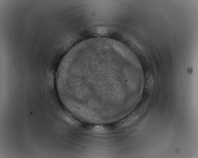 X0000101440562200808041217
