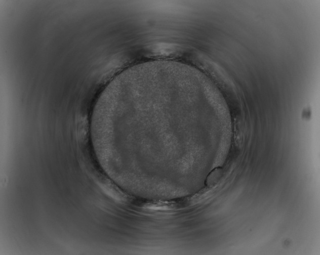 X0000101440563200808041217